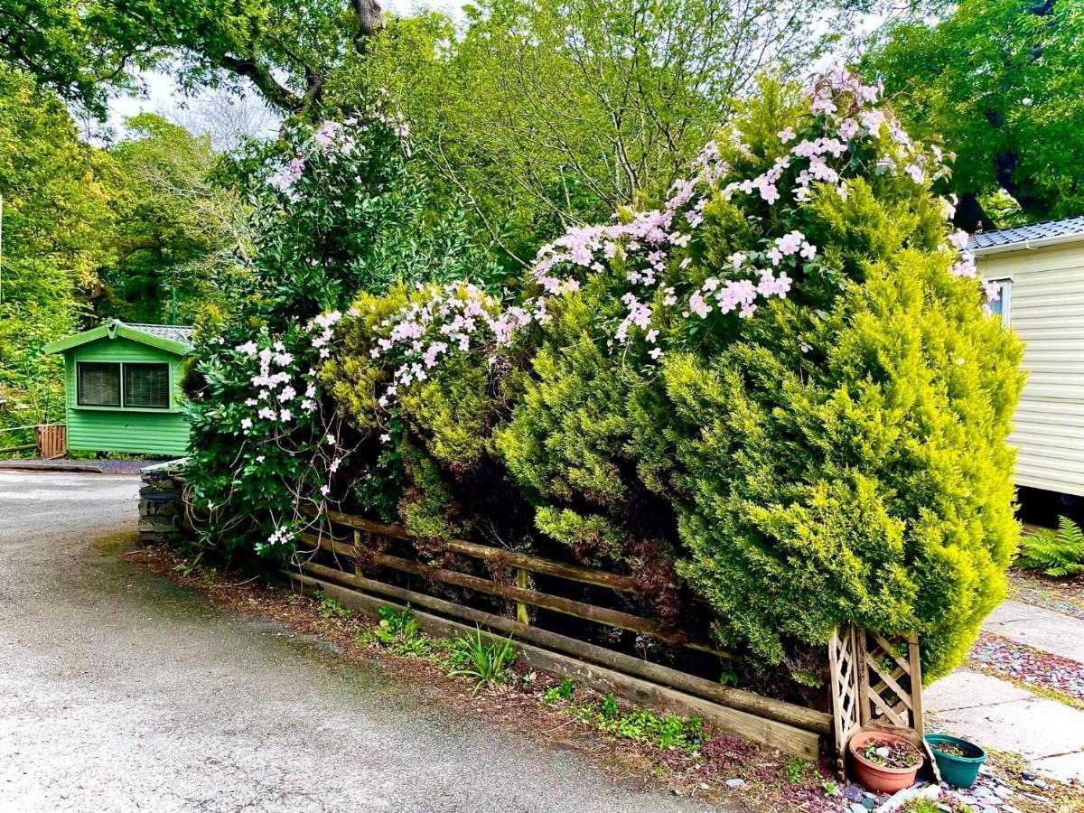 Snowdonia Holidays Caravan Hire - Aberdunant Park - 34 The Green Prenteg Экстерьер фото